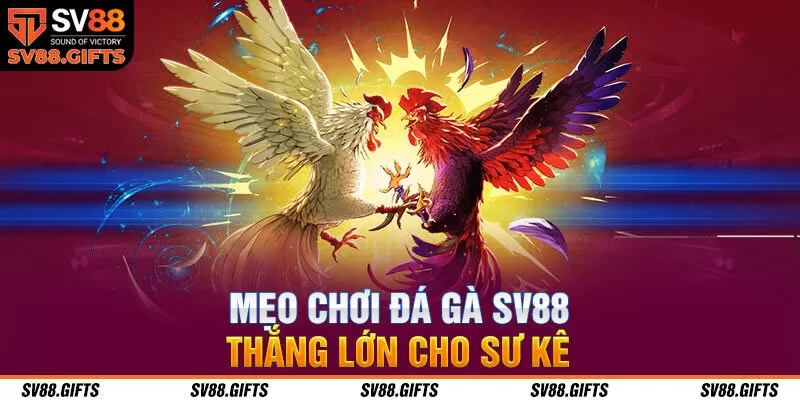 Mẹo chơi đ&aacute; g&agrave; SV88 thắng lớn cho sư k&ecirc;